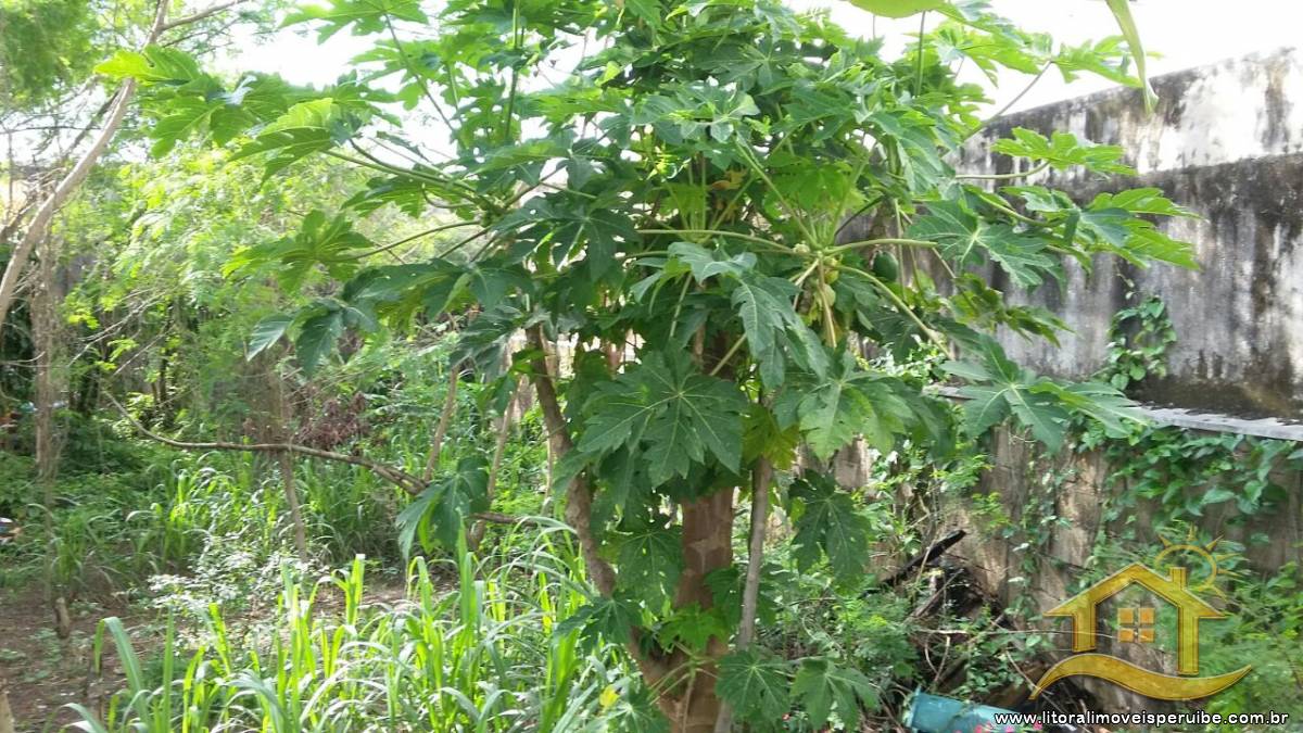 Terreno no bairro Cidade Nova Peruibe, Lado Praia